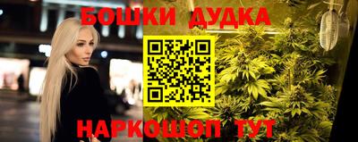 прущие грибы Обь